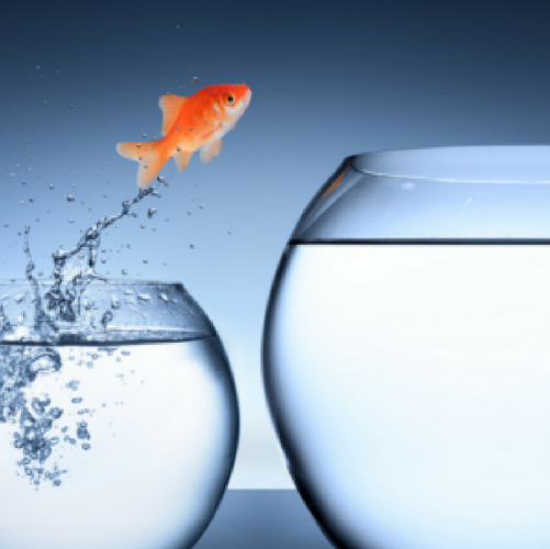 Change Management Fundamentals